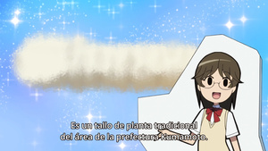 Seitokai Yakuindomo S2